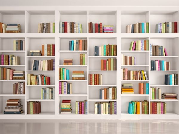 Bookshelf Assembly in West Jordan